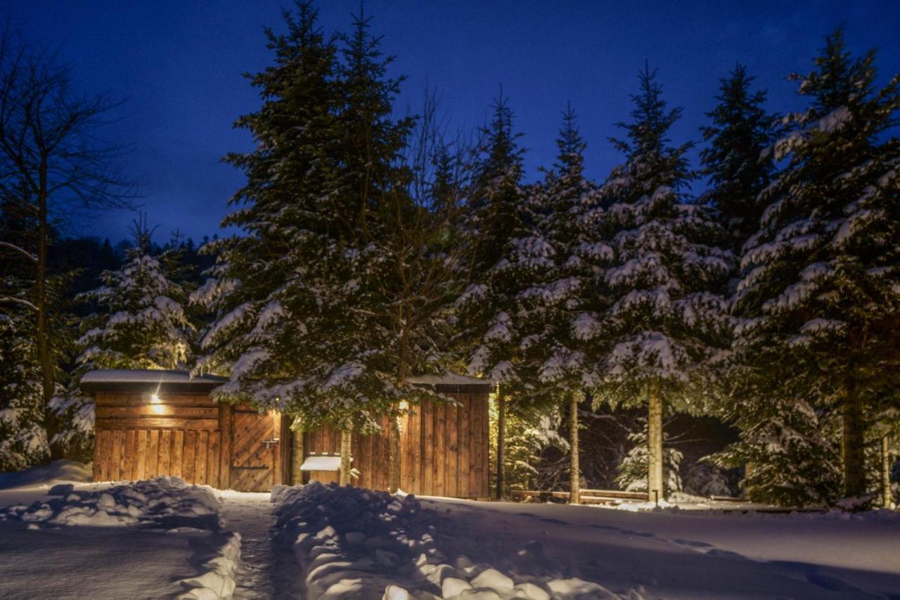 Novosiele Residence - Nad Gorska Rzeka - Lesne Spa Sauna Jacuzzi - Bieszczady Bystre  Exterior photo